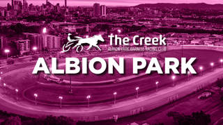 Form Analysis: Albion Park April 21