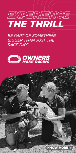 More. Loading Greyhound Ladbrokes More On Tote Loading 300m Mon 28 Sep 2026 :: Racing ...