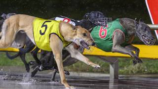 Keeping the faith in Derby outsider