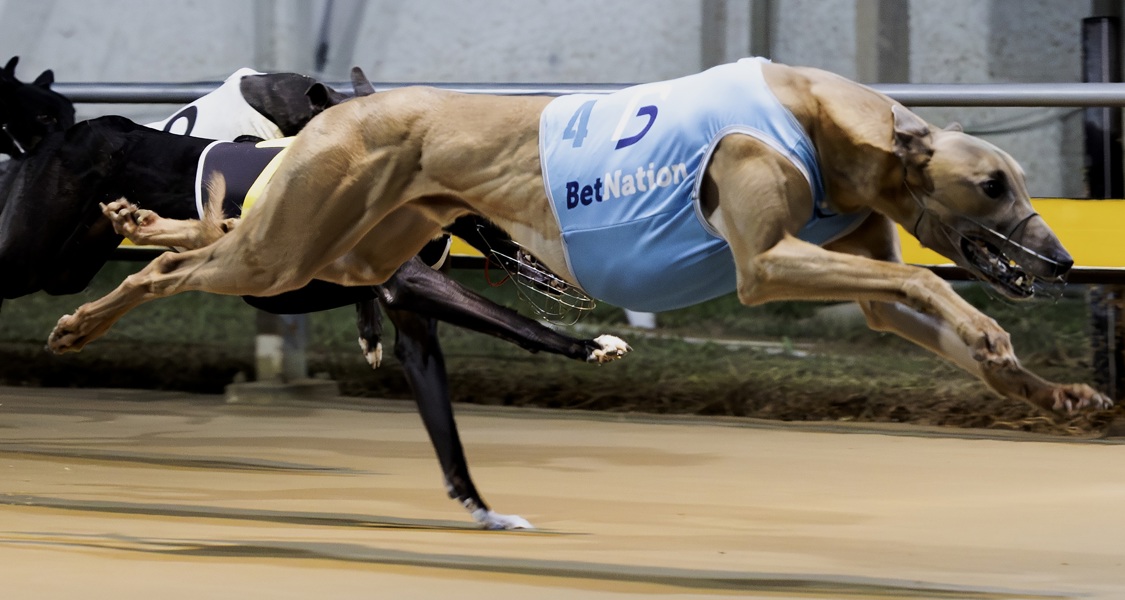 Mad Bunch is showing plenty of potential in Townsville