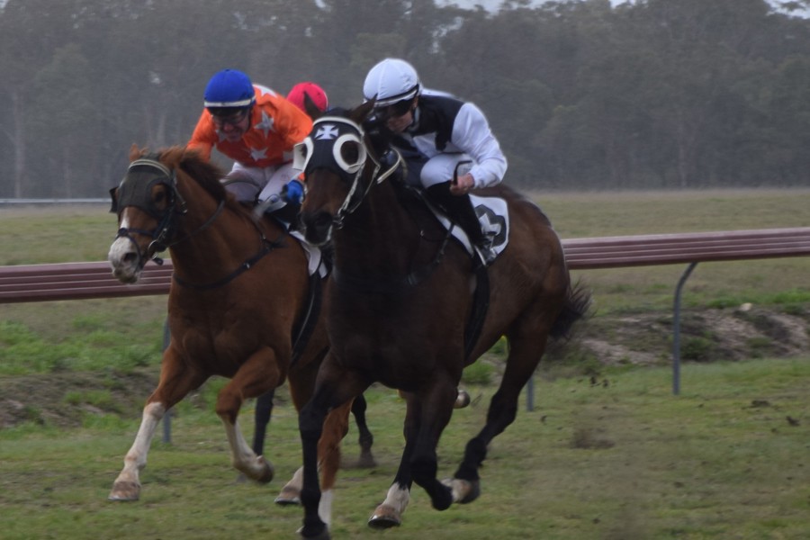 Calmer Karma Harry Schwenke Jess Emmerson. Pictures: Samantha Wantling Stanthorpe Today.