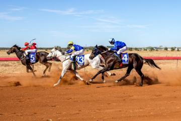 Cloncurry Cup
