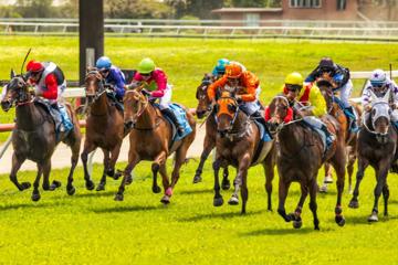 Innisfail Cup