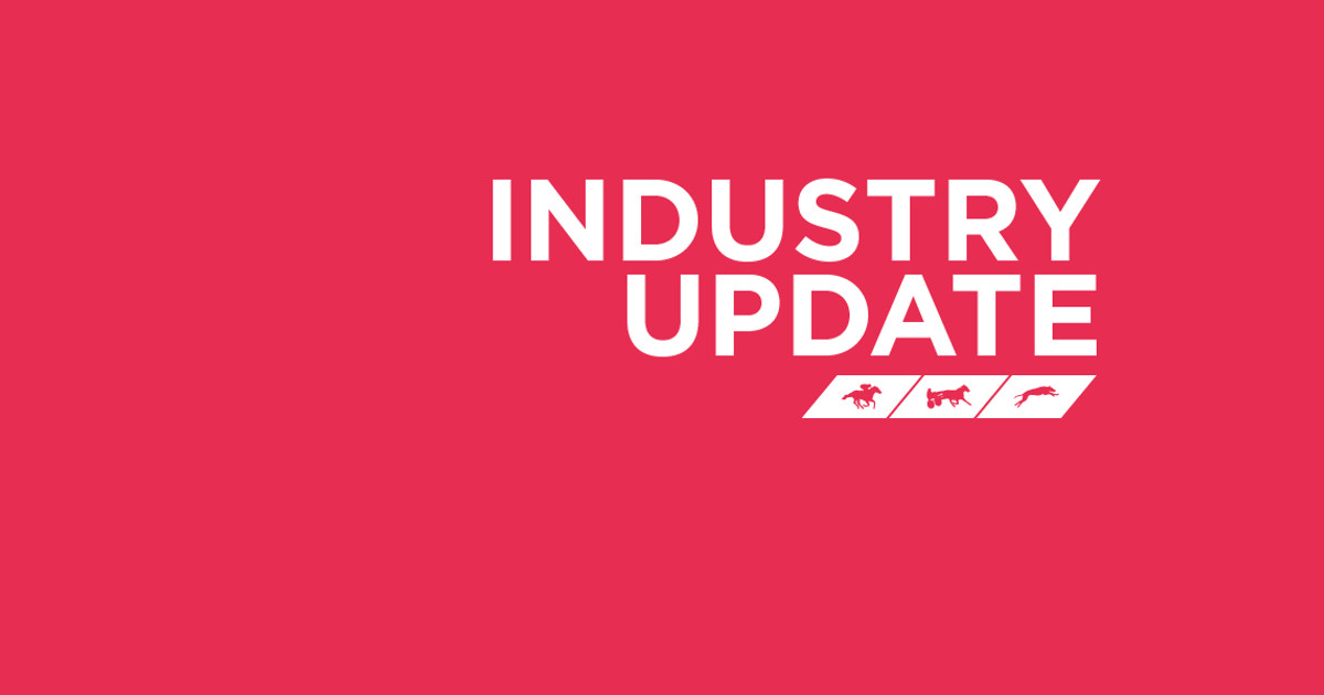 Animal R3 Update on the implementation of The Next Lap :: Racing Queensland