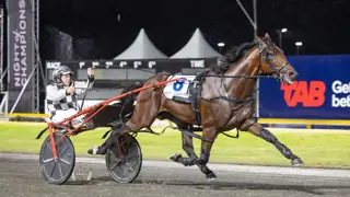 Horror draw has 'made it harder' for Leap To Fame in NZ feature