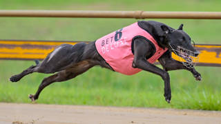 Tracy pulls the trigger for more racing