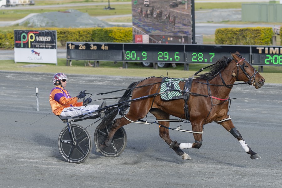 Trainer Colin Godden and leading reinsman Nathan Dawson combined to win the Vale Noel Price Pace at Redcliffe earlier this month with Francs For Coming.