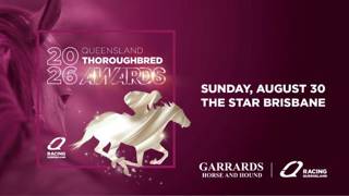 Spicy Martini named Queensland Horse of the Year