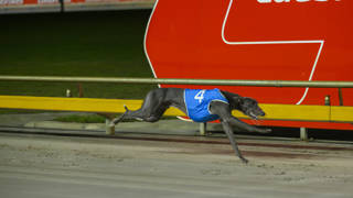 Winsome Jet flies out of boxes in fastest Flying Amy Heat