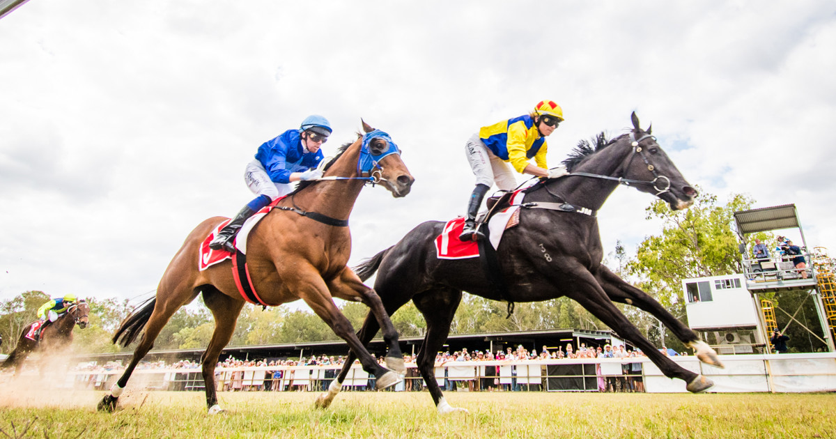Animal R3 Yes Dream’s remarkable racing revival :: Racing Queensland