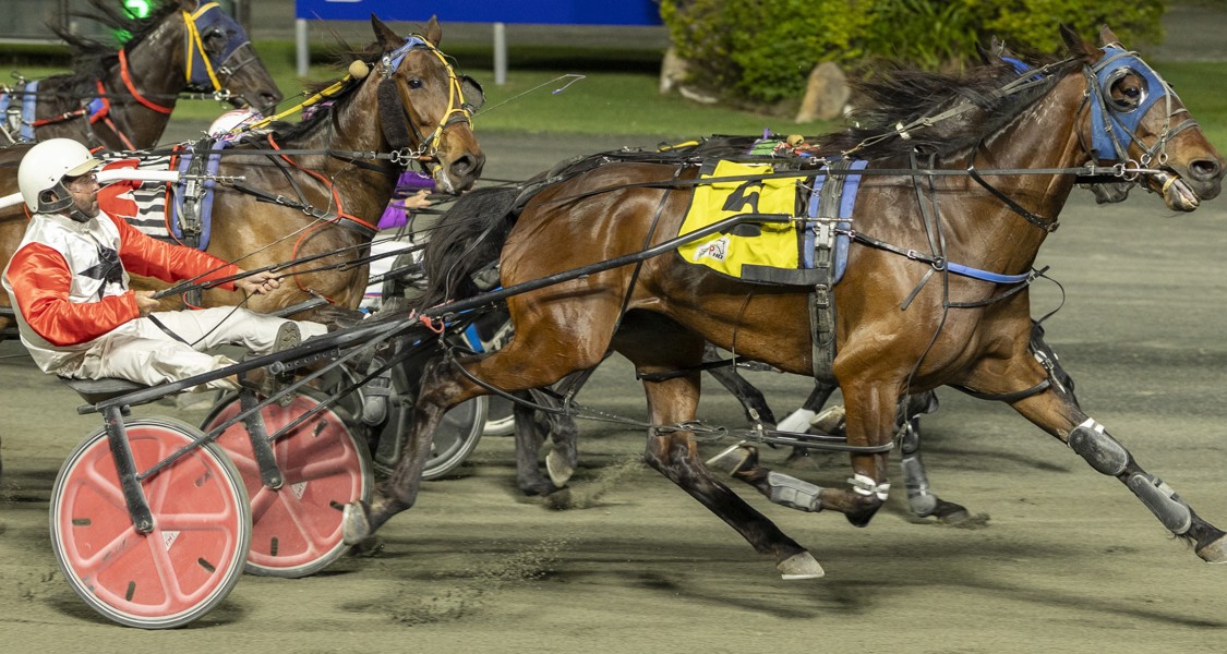 Veteran outsider flashes home to win at Redcliffe