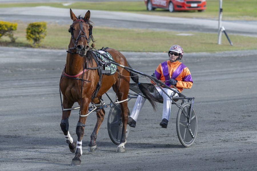 Noel Price remembered as a pioneer of trotting in Queensland