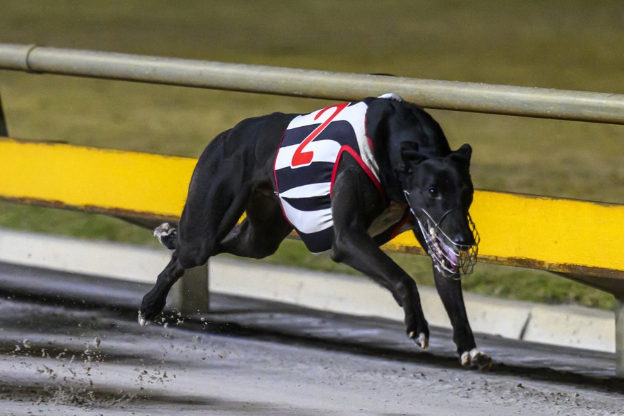 Golden Chase glory puts Lakeside Cup in Corrigan’s sights