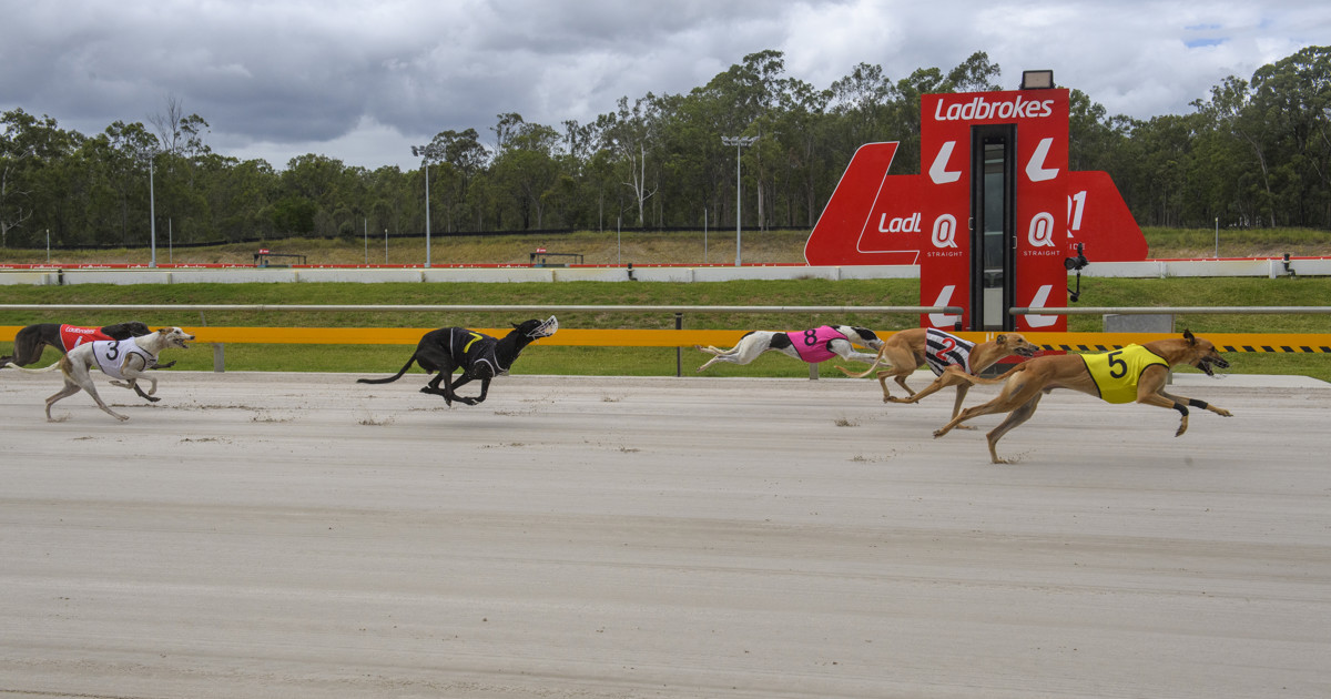 Trake Racing The Q track update :: Racing Queensland