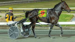 Dashman's harness examination - April 27