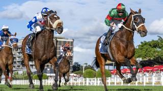Victorian raider Pounding on the door for a win