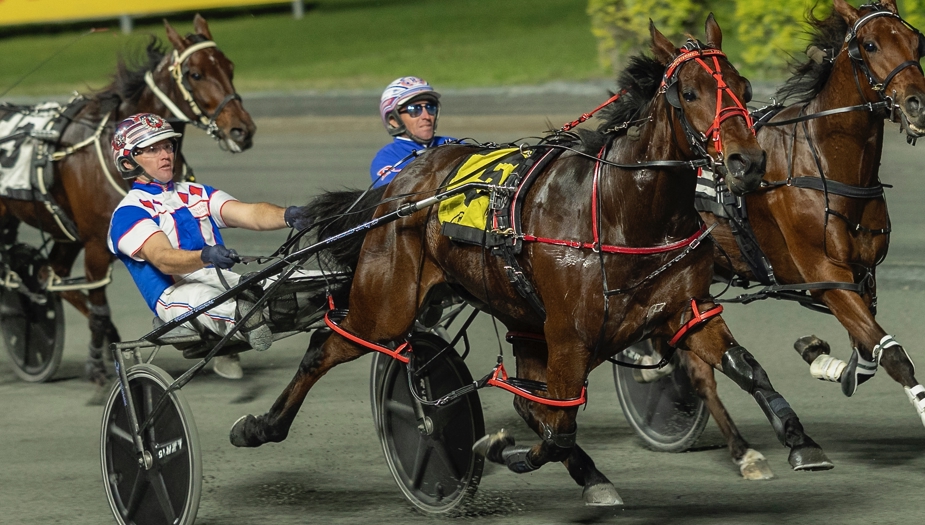 Nathan Dawson driving Hold Onto Ya Bling to victory