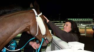 Yellow Brick inspires Wiblen’s training dream