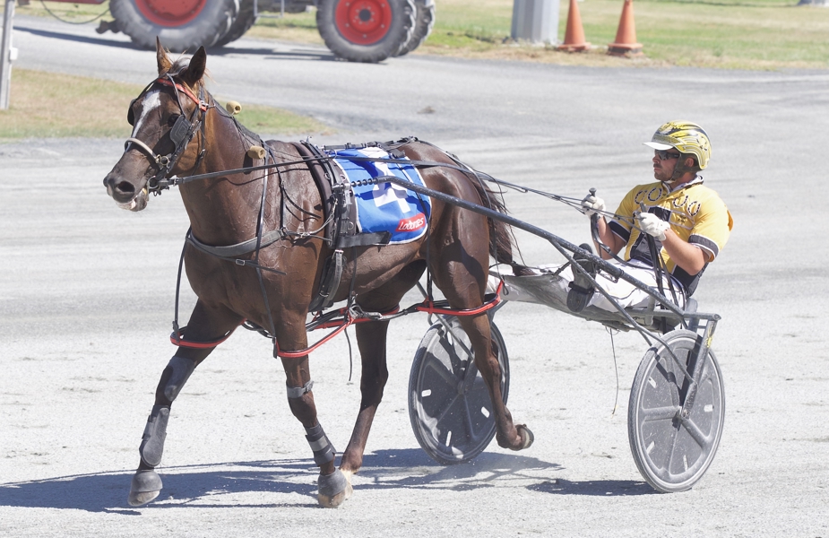 Matt Elkins driving Skylar Bree to victory earlier this year.