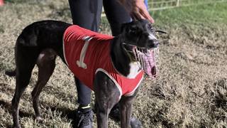 Boody team have the right boxes for a Cup upset