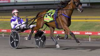 The Dashboard - September 5 @ Albion Park