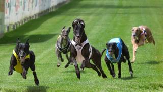 McCluggage continues impressive rise at Capalaba