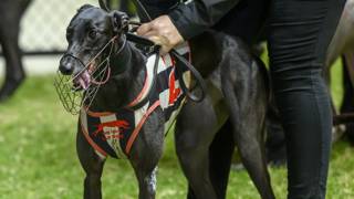 Dream becomes reality for Sultana