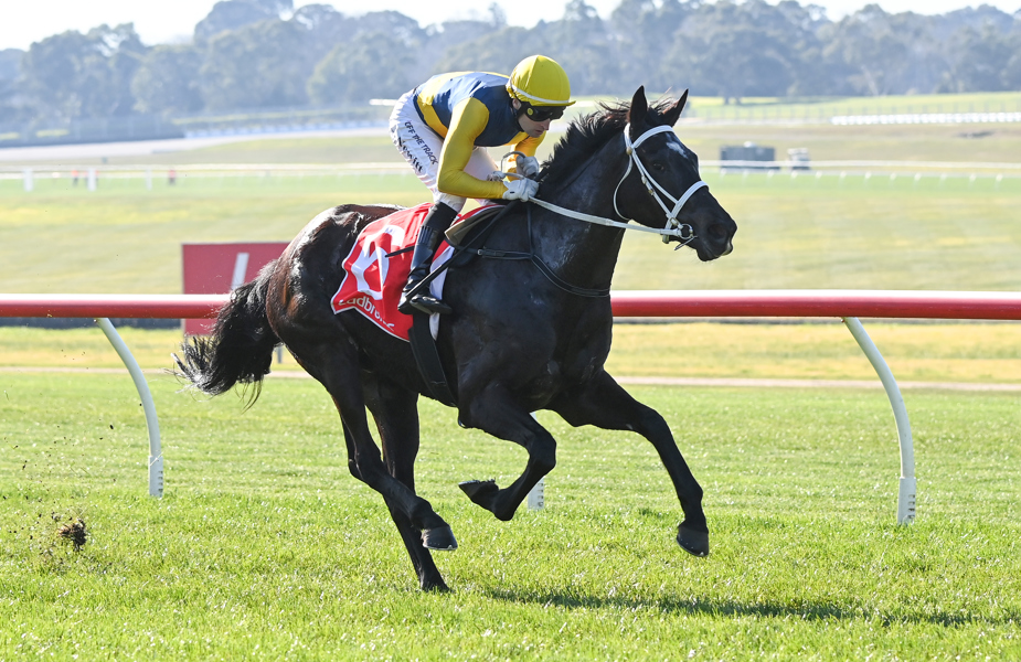 Jockey Craig Newitt