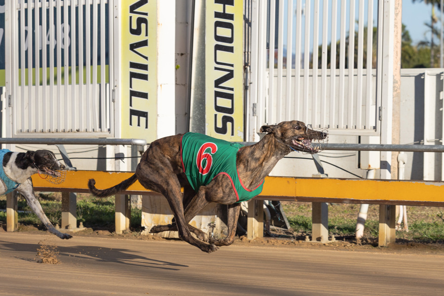 Wicket ready to reward Cairns connection in Townsville Cup