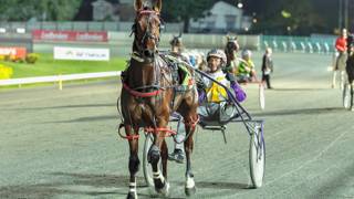 Queensland campaign off to a flyer for Hewitt