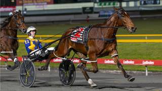 Dashman's Dashboard - February 28 @ Albion Park