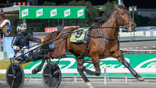 The Dashboard - August 29 @ Albion Park
