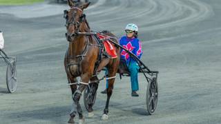 Oli's Oil - March 18 @ Redcliffe