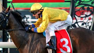 The Wheelbarrow heading towards Queensland Derby