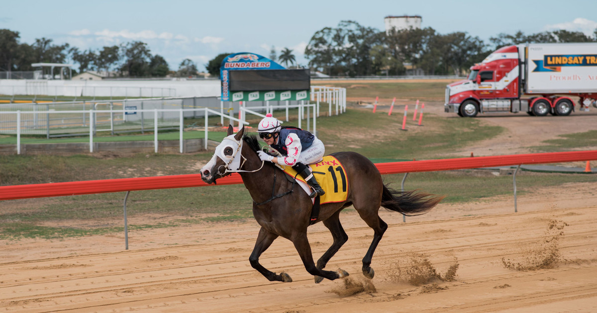 Form Racing F7540 Brooke Johnson continues hot run of form :: Racing Queensland