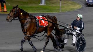 Oli's Oil - July 1 @ Redcliffe