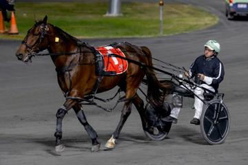 Redcliffe Gold Cup