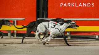 Sagai Miss won’t wilt against tough Capalaba opposition