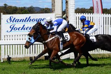 Stanthorpe Cup