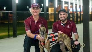 Anthony Bloomer back in greyhound game