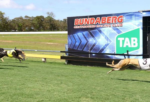Bundaberg Greyhound Racing Club