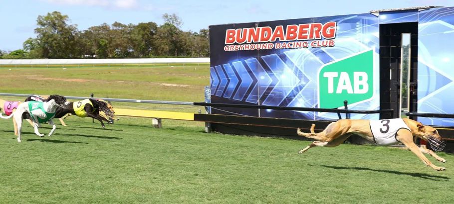 Bundaberg Greyhound Racing Club
