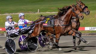 Maroon magic poised to dominate Inter Dominion series