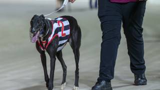 Tzouvelis gets preview of rising talent on awards eve