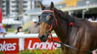 Cousins targets Sydney with The Inflictor