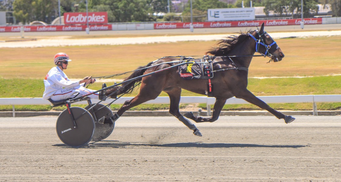 Jack Chapple during Friday's Why Tanya Sue win.
