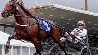 Leap To Fame on track for career-defining Hunter Cup win
