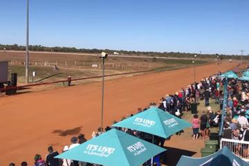 Time-juggling young mum manages two children, 800 cattle and a turf club