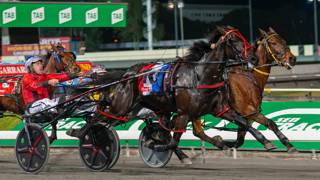 Dashman's Dashboard - March 21 @ Albion Park