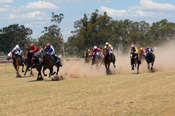 Social connection the key for Tara Race Club